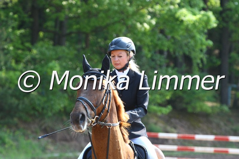 104M7836_Spring A.JPG